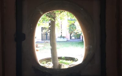 Gli aranci e le arance dell’Aventino